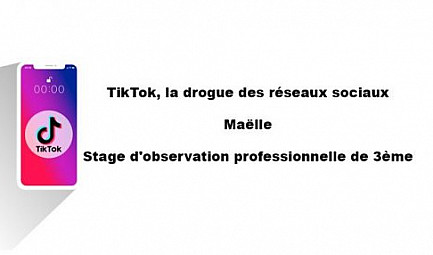 TikTok, la drogue des réseaux sociaux - Maëlle - Stage d'observation professionnelle de 3ème 