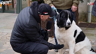 Acteurs-Locaux de TV Locale  Ancenis  - découverte du métier d'Educatrice-canin